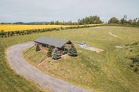 DJI_0584